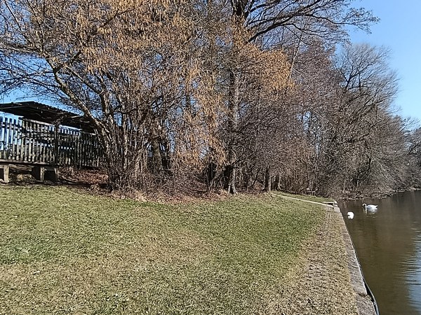 Picknickpüatz am Bärensee